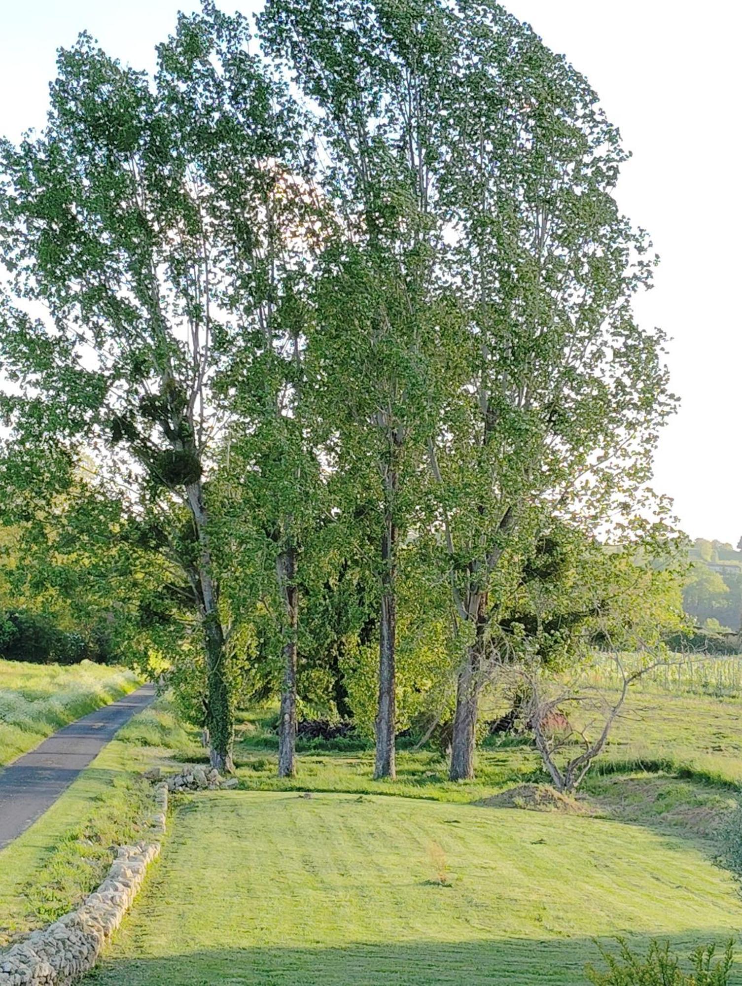 Gite L'Edenwine Doulezon Exterior foto