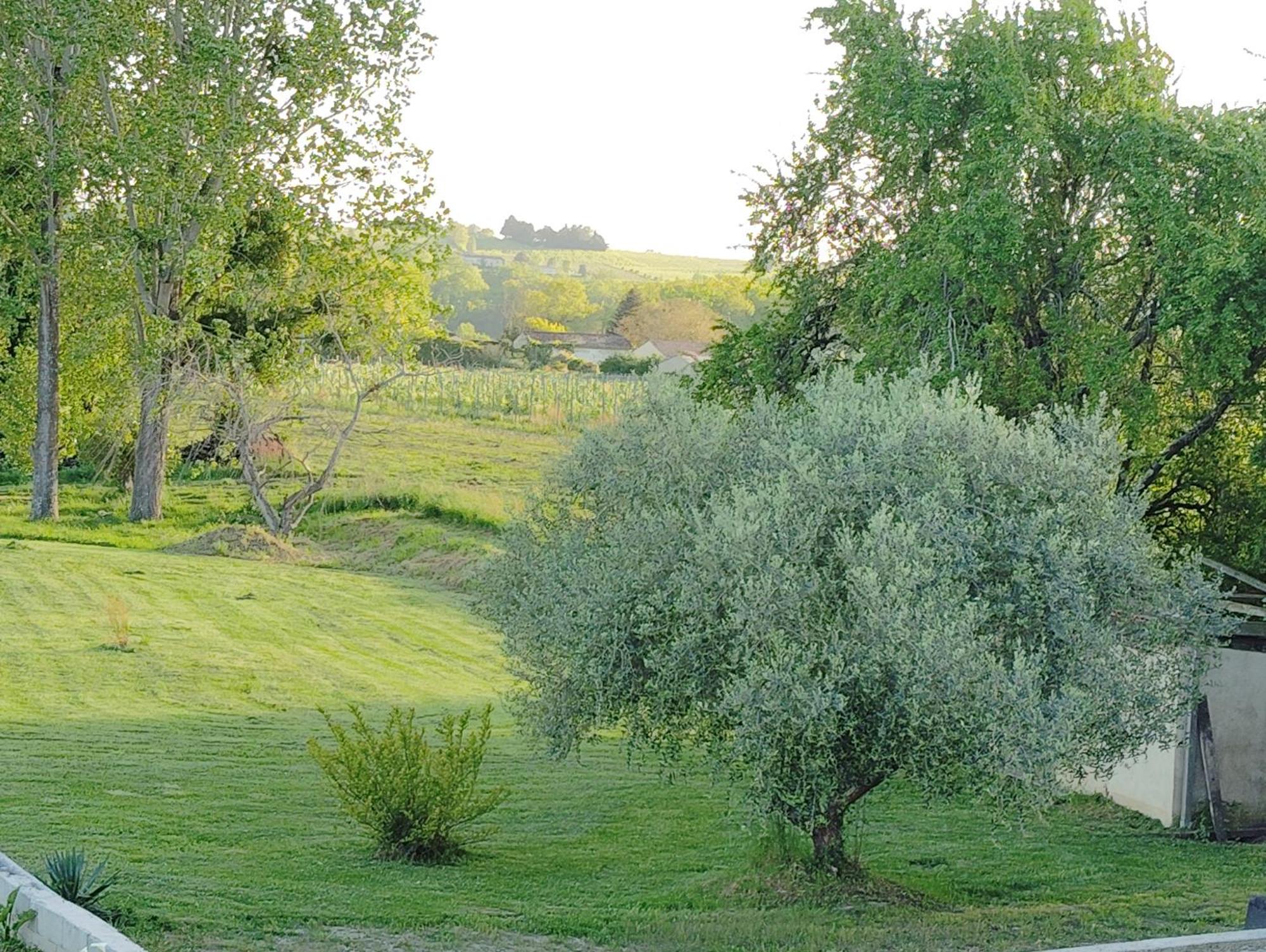 Gite L'Edenwine Doulezon Exterior foto